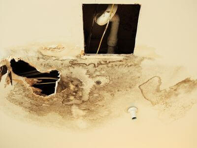 Professional commercial water damage restoration services in Georgetown - water damage restoration service